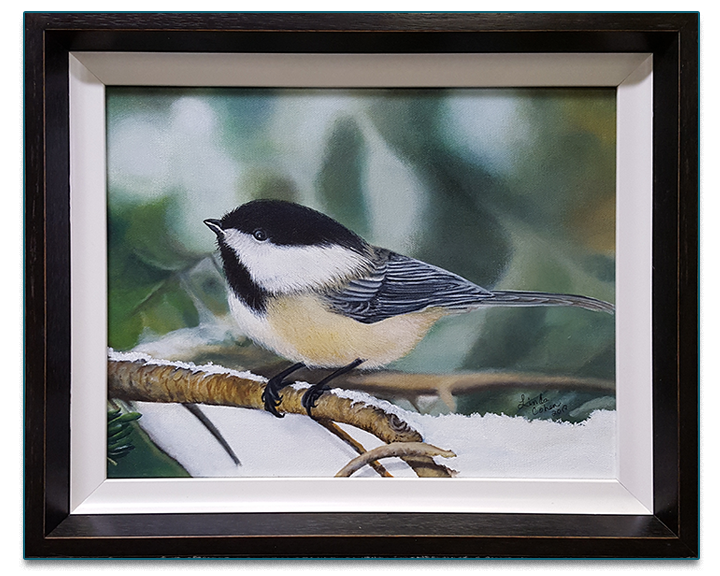 Winter Chickadee